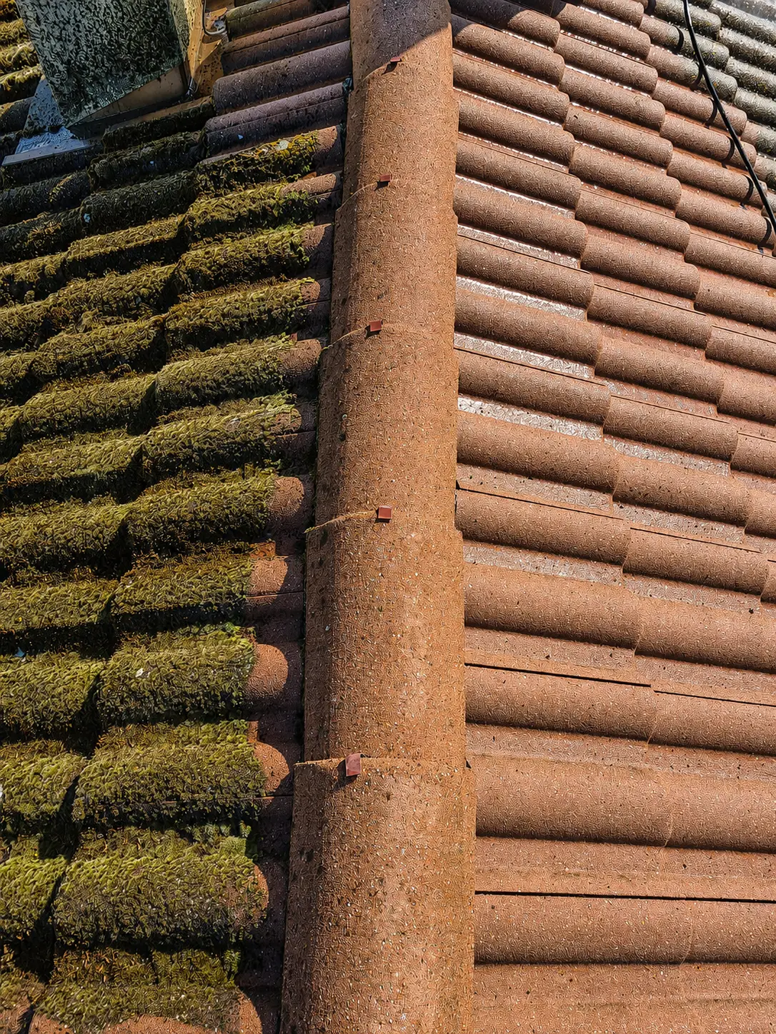 Tuiles envahies par la mousse avant démoussage de toiture à Bourgoin-Jallieu